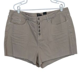 NWOT Torrid 3.5 Inch Classic Denim High-Rise Short Dust Storm Color Size 22